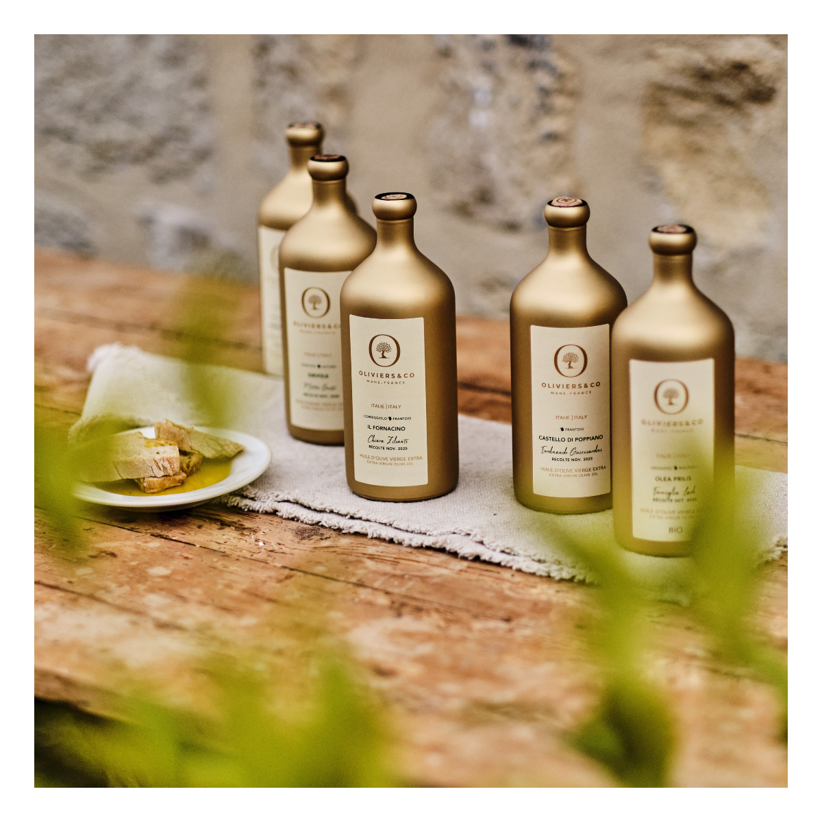 Dievole Extra Virgin Olive Oil – ITALY - Oliviers & Co