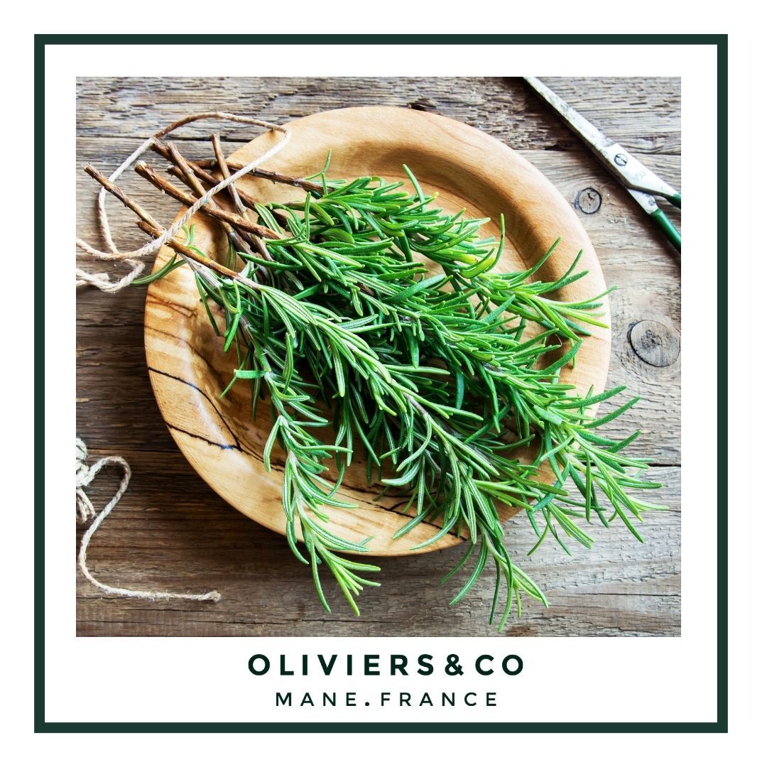 Le romarin : histoire, bienfaits & vertus